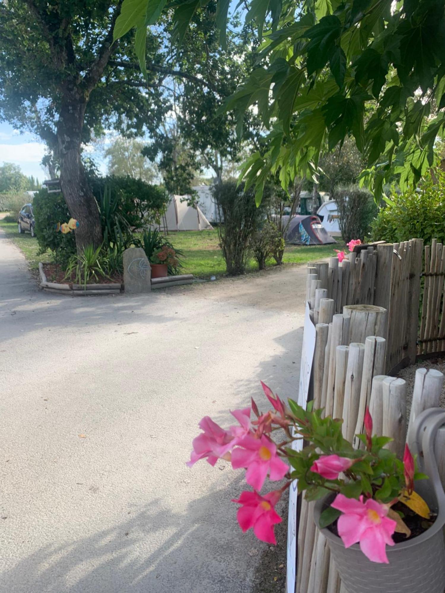 Camping Paradis Le Moulin Des Oies Belz Экстерьер фото